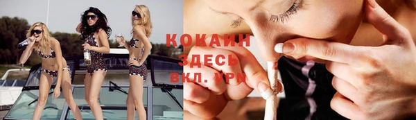 соль ск Абаза