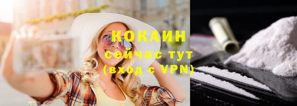 соль ск Абаза