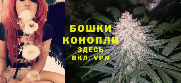 соль ск Абаза